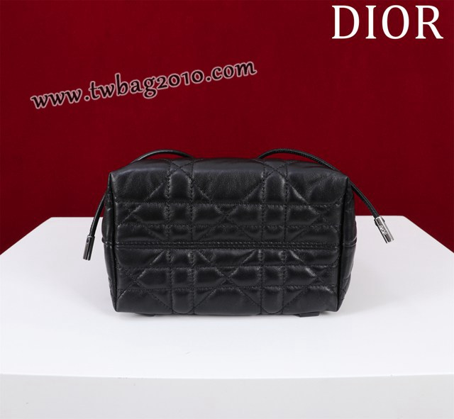 Dior专柜新款迪奥高仿原单女士双肩背包D007-006 djfk1593